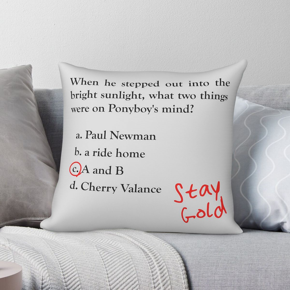 Home Decor Quiz Free - Наволочка Outsiders Ponyboy Quiz Question, квадратная,
